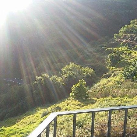 Maison Zita Venda do Atalhinho Dış mekan fotoğraf